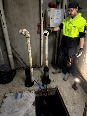 Rapid Plumbing